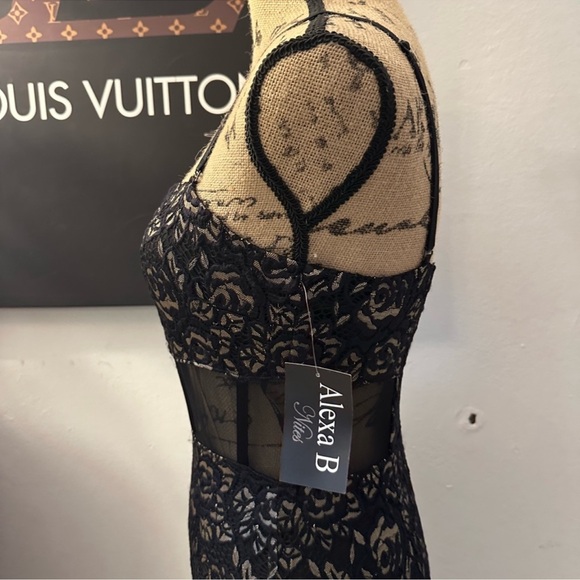 🆕Alexa B. Lace Dress - Picture 8 of 16